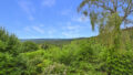 Blick aus dem Wohnbereich