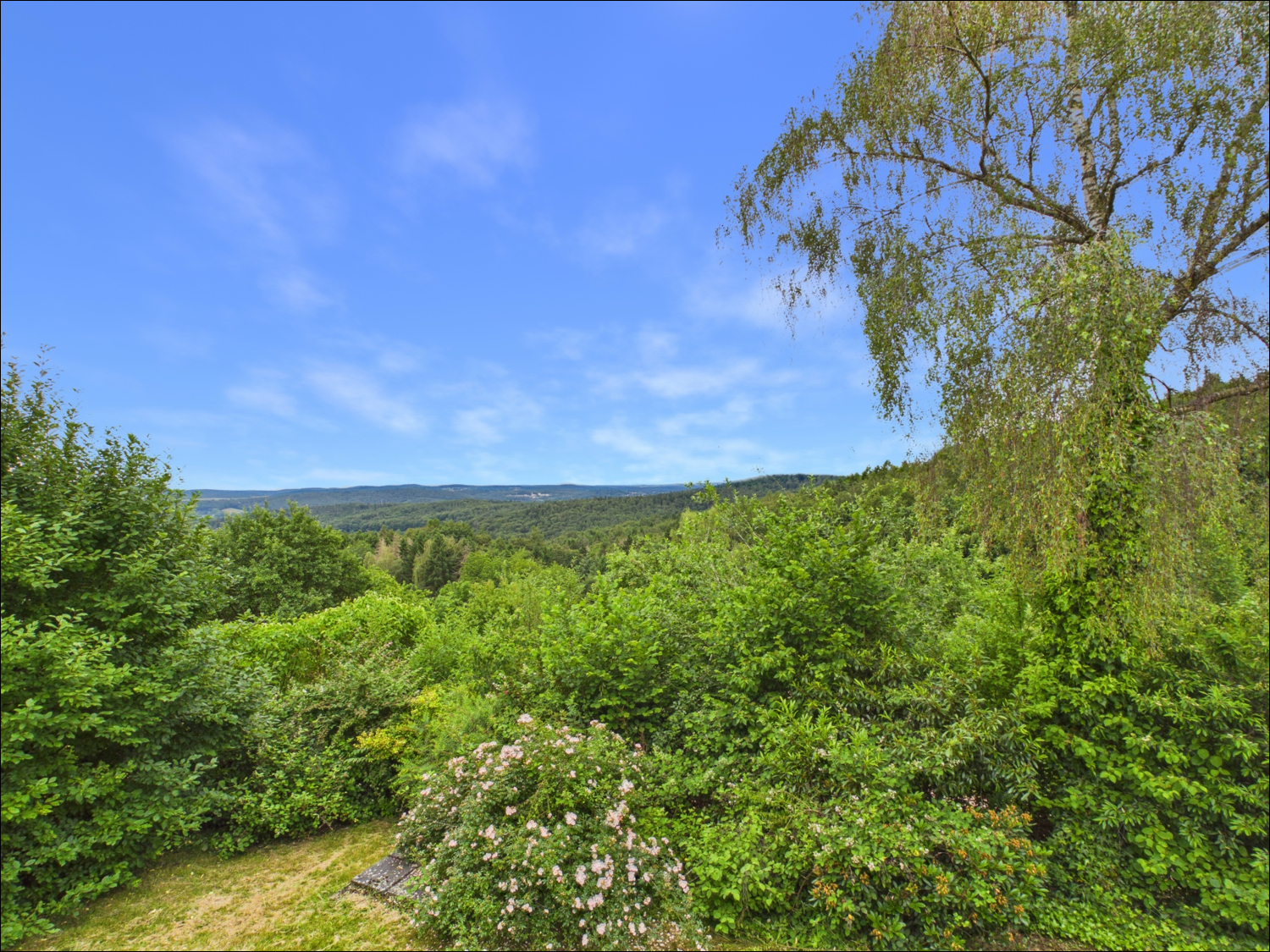 Blick aus dem Wohnbereich