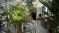 08_Wintergarten2